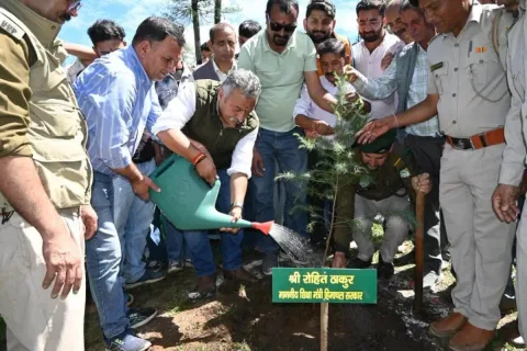 Planting a sapling