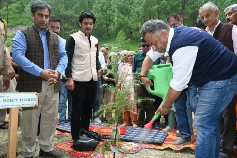 Tree plantation drive